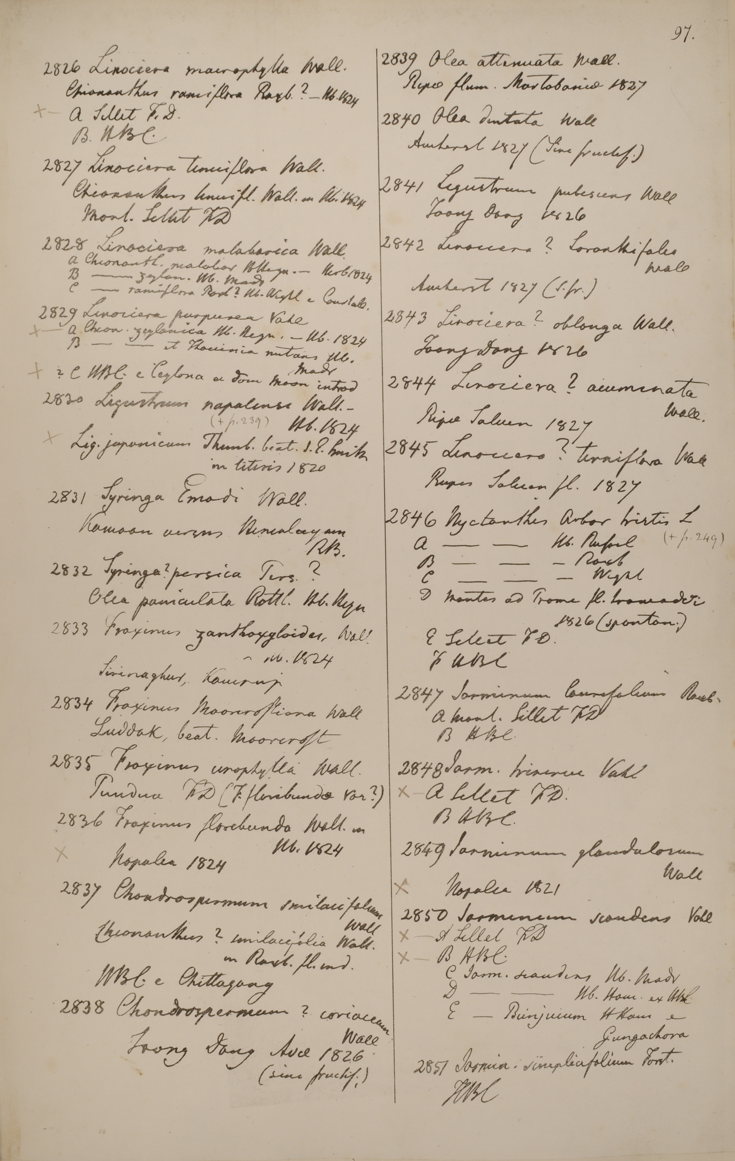 previous page